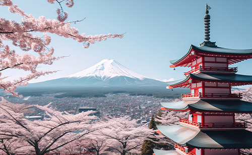 日本年审年报流程